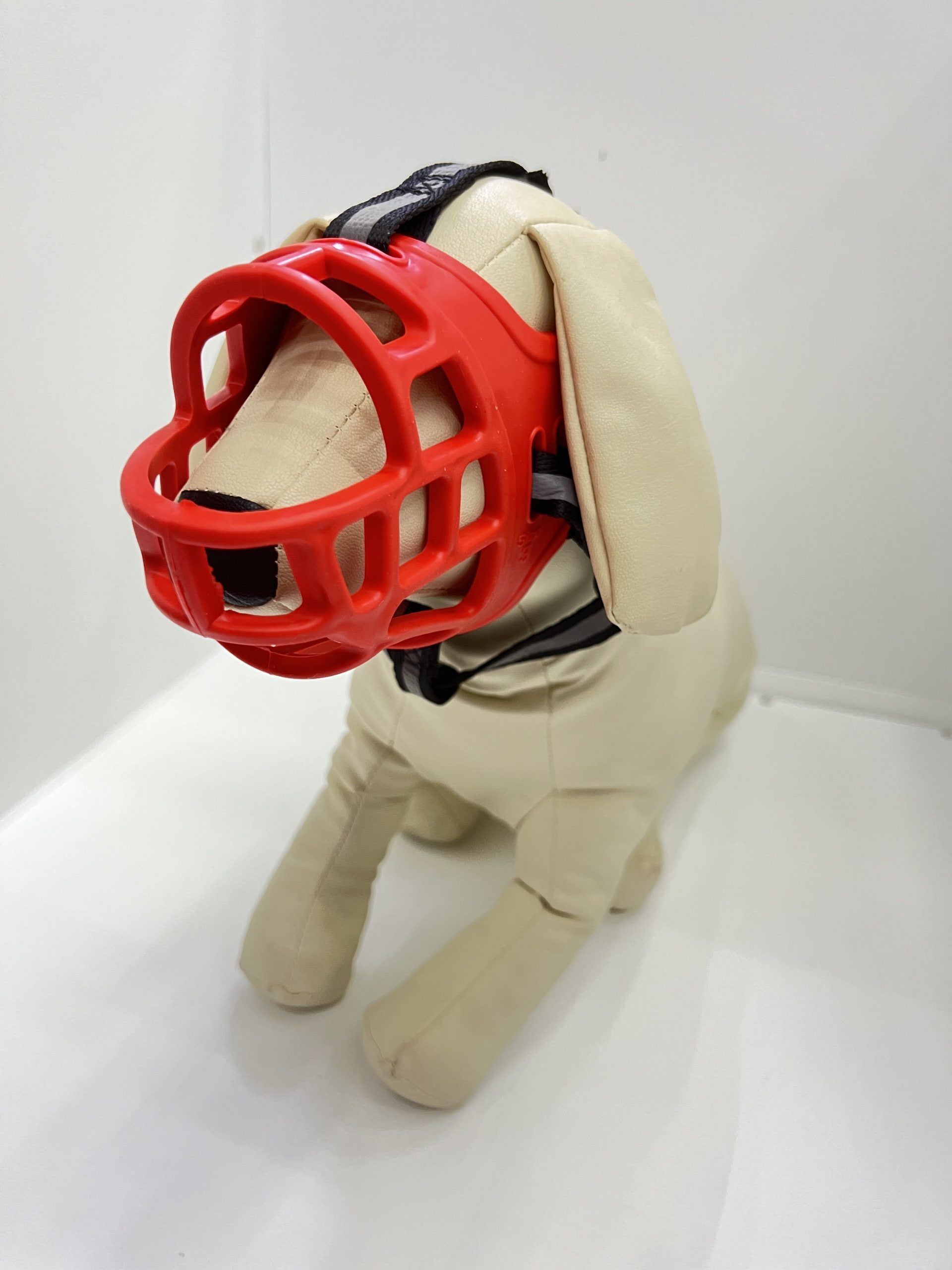 QQ图片20231214141409