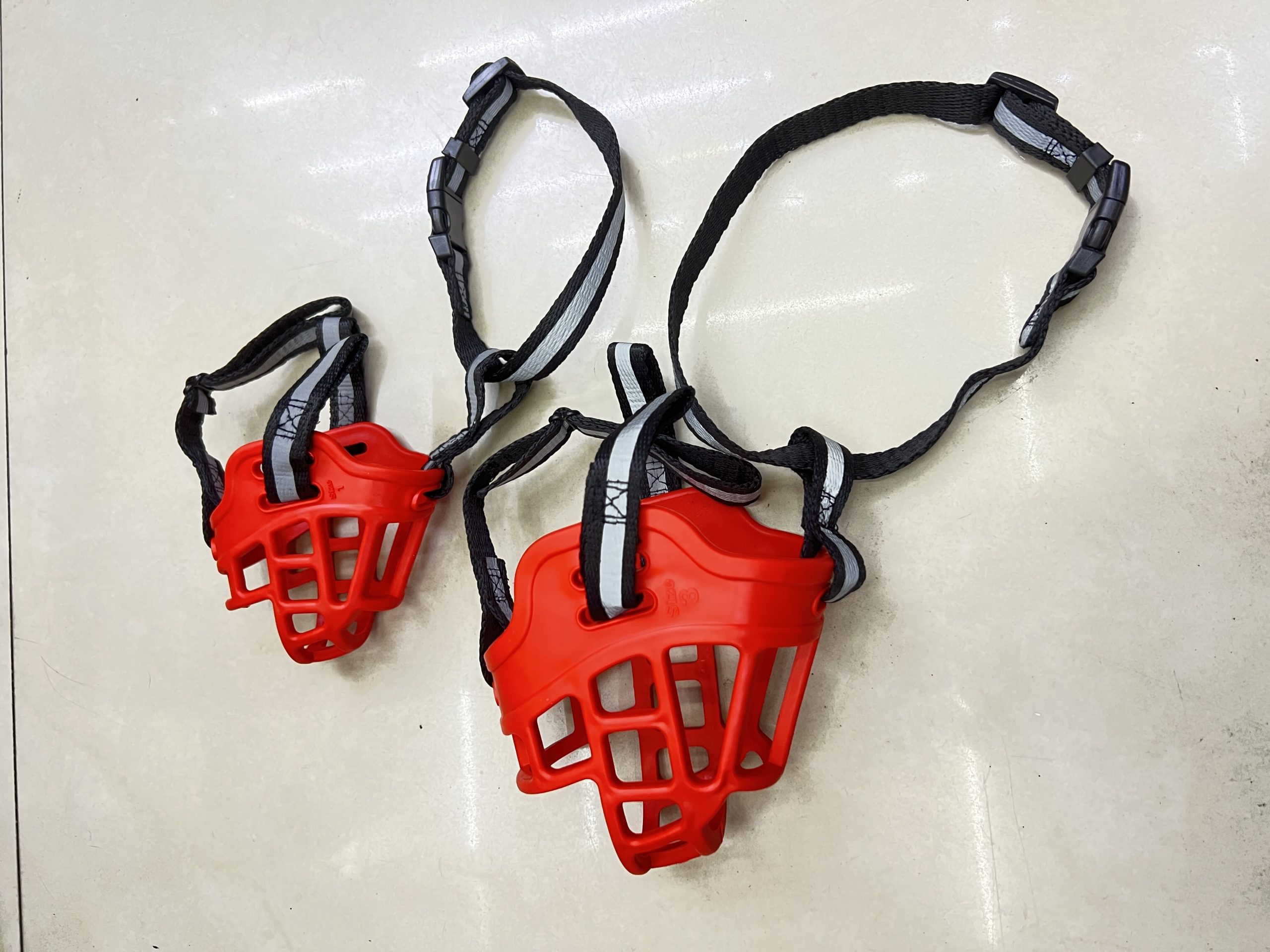 QQ图片20231214141448